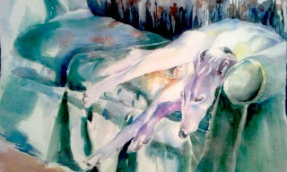 Greyhound