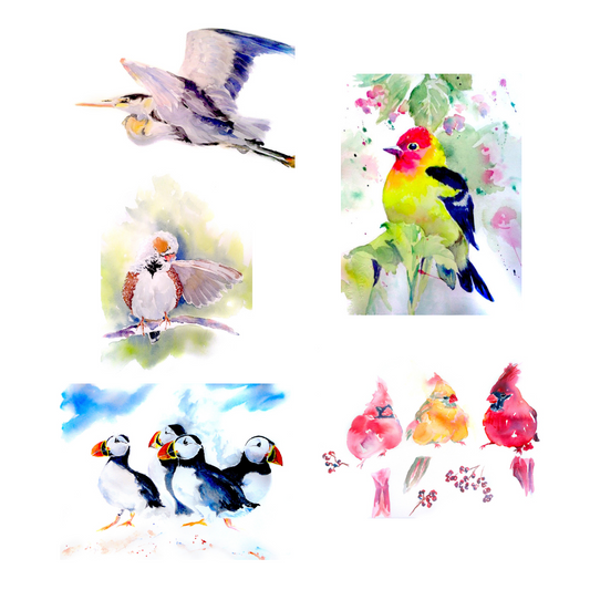 Bird Card Set #1