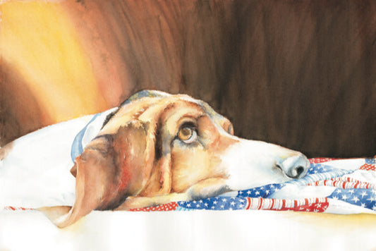 Red, White and Bassett