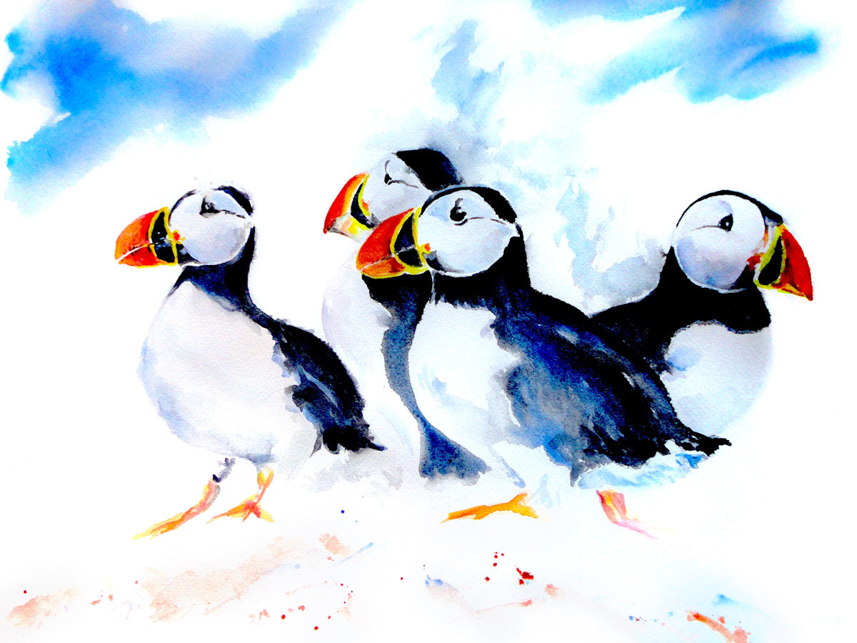 Puffins