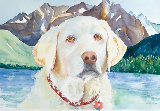 Lakeside Labrador