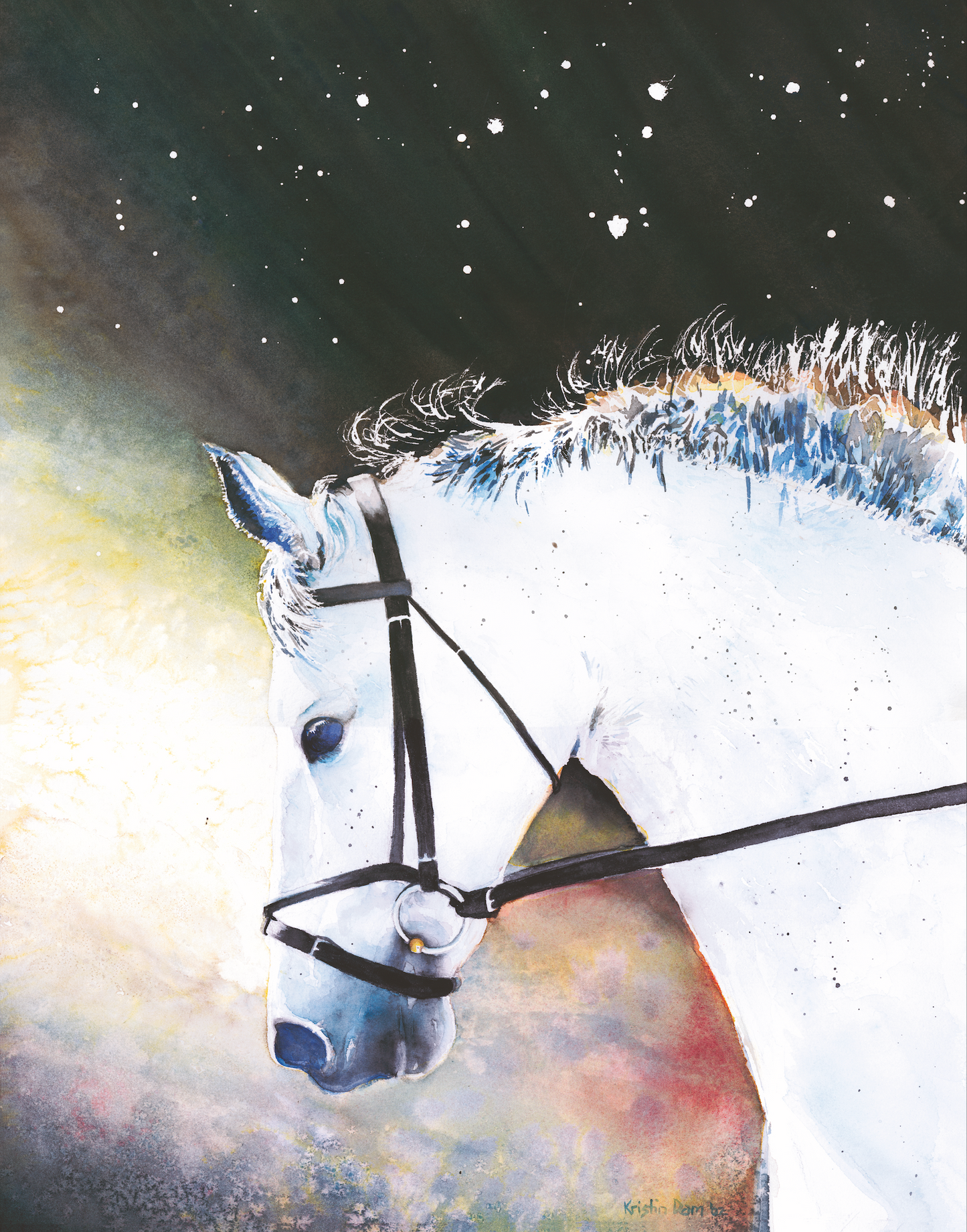 Dressagé Horse