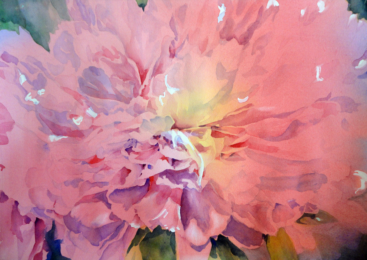 Peony du Printemps