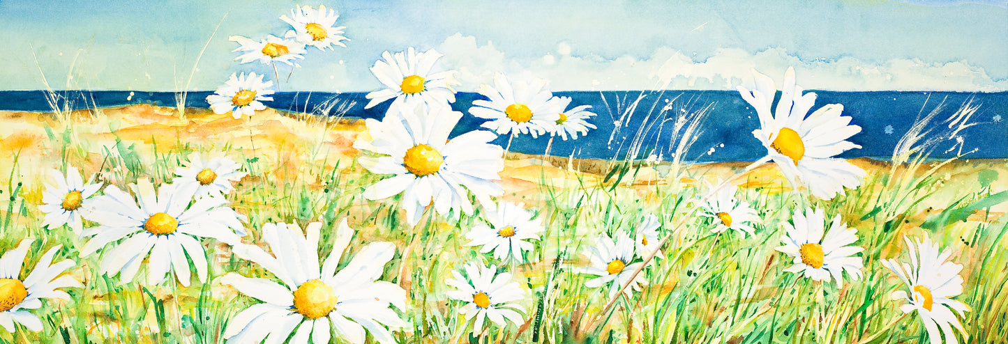 Summer Daisies