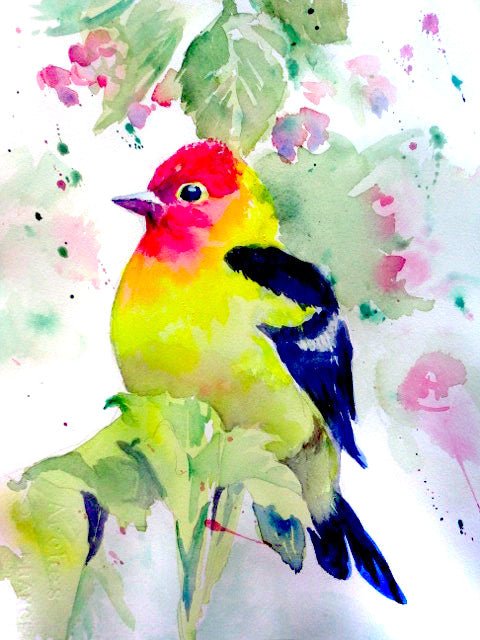 Western Tanager